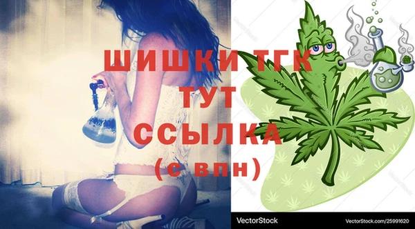 mix Вяземский